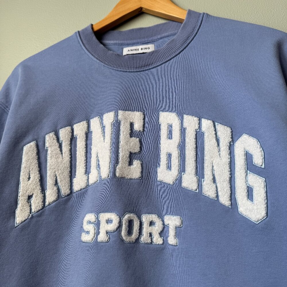 Anine Bing Tyler Sweatshirt Light Blue/White - Picture 4 of 17